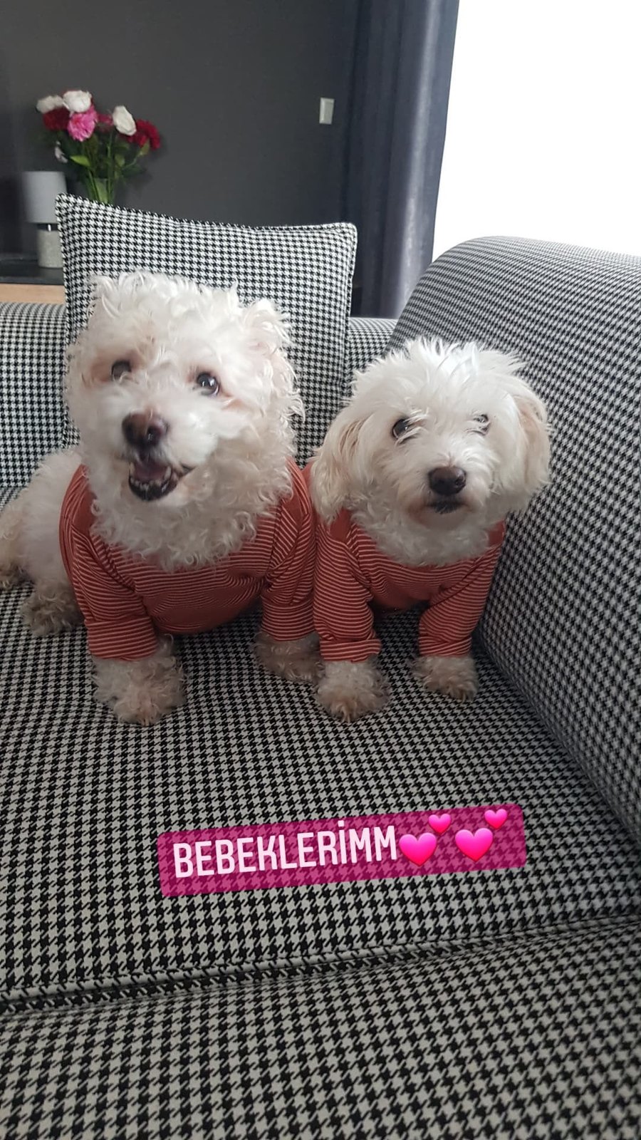 Fotoğraf